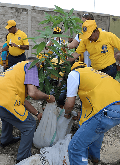 brigada de reforestación especies nativas